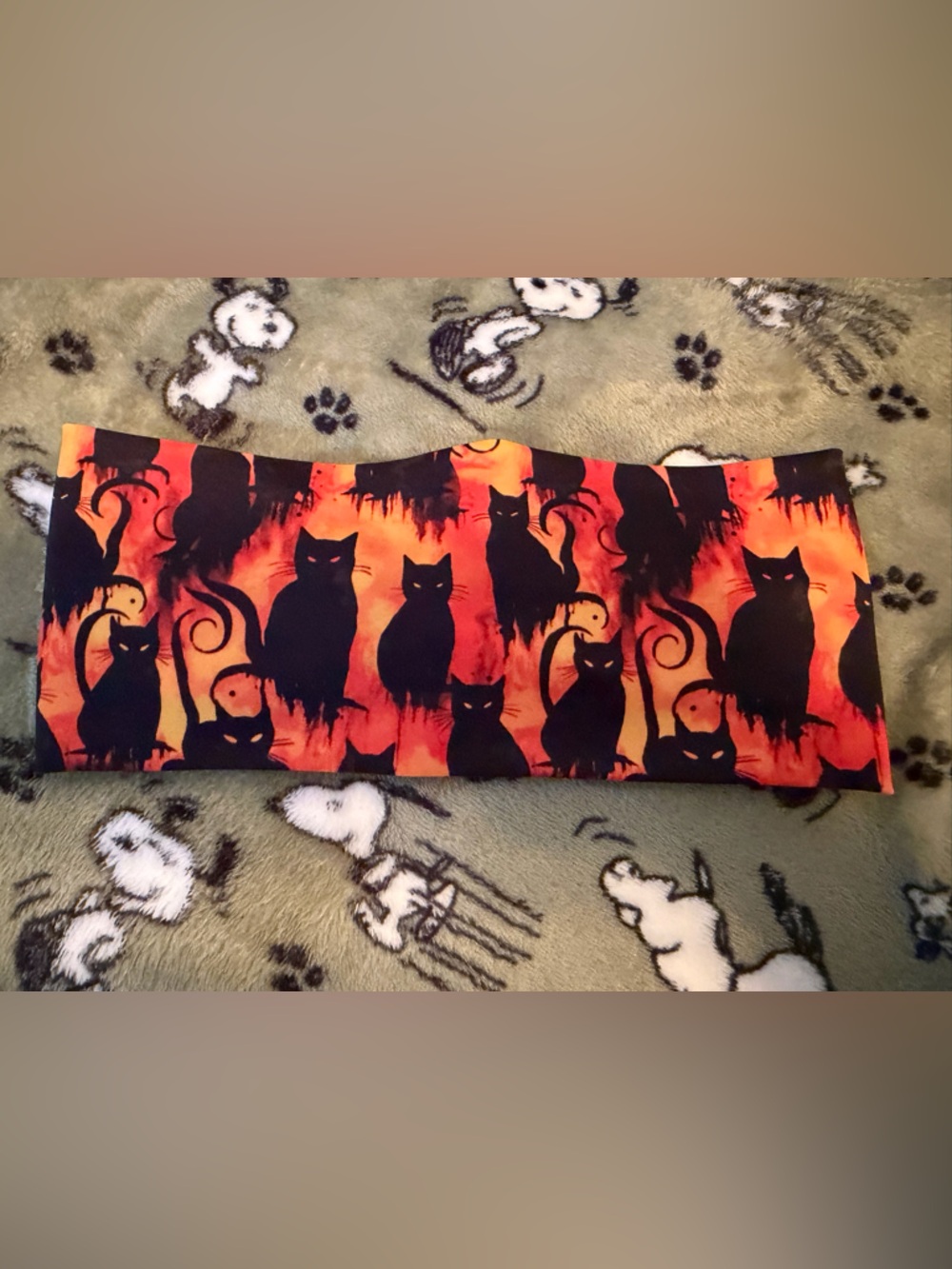 Black Cat Print Orange Tube Headband for Women